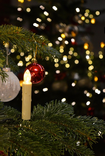 Grußwort Weihnachten 2025